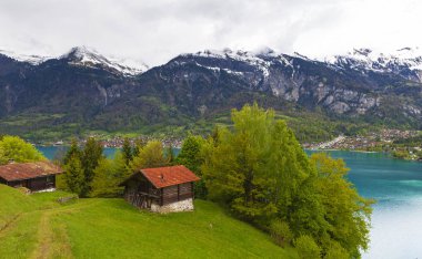 Brienz Gölü'nden Alpler görüntüleyin
