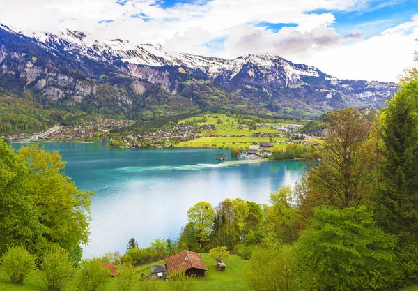 Zobacz Jeziorze Brienz Szwajcaria — Zdjęcie stockowe