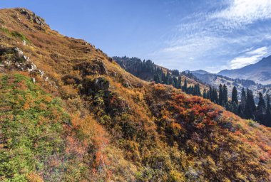 Almatı, Kazakistan yakınındaki Tian Shan dağlarında manzara