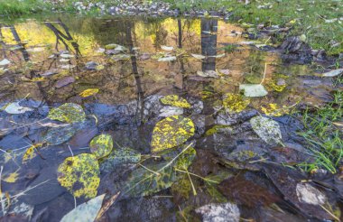 Kazakistan'ın parlak sonbahar renkleri