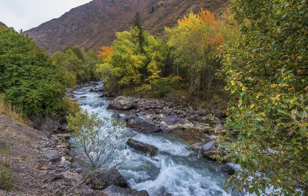 Turgen River Tian Shan Bergen Kazakstan — Stockfoto