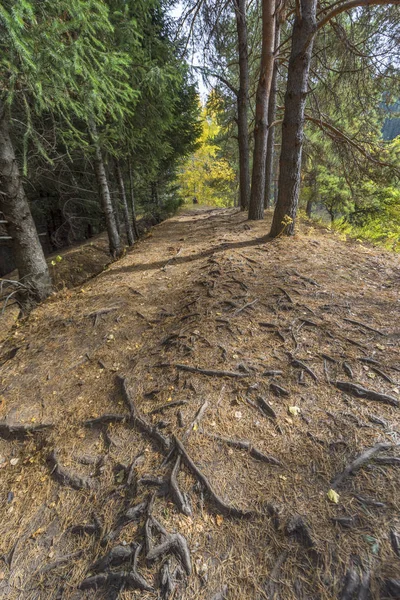 哈萨克斯坦阿拉木图附近天山山 Zailiysky 阿拉套山的秋季鲜艳色彩 — 图库照片