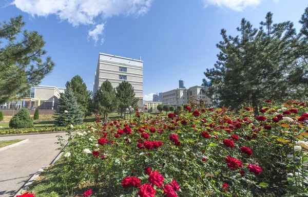 Almaty Kazajstán Septiembre 2017 Campus Universidad Estatal — Foto de Stock