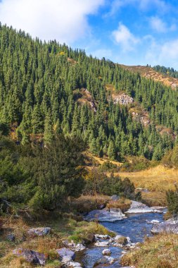 Takma dağ Yaylası bölgedeki Almatı, Kazakistan üzerinden görüntülemek