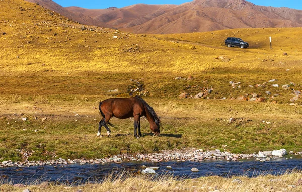 Takma Dağ Yaylası Bölgedeki Almatı Kazakistan Üzerinden Görüntülemek — Stok fotoğraf