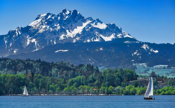 Yachts Στη Λίμνη Lucerne Μια Ηλιόλουστη Μέρα — Φωτογραφία Αρχείου