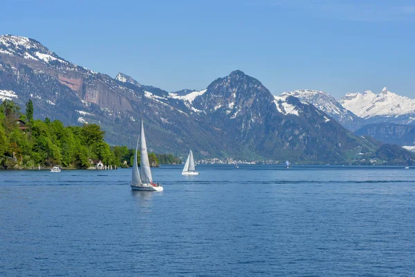 Iates Lago Lucerna Dia Ensolarado — Fotografia de Stock