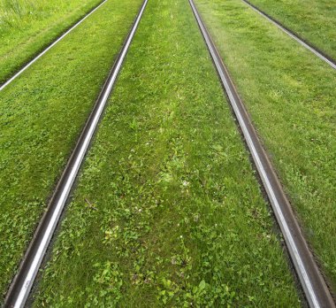 Thje yeşil çim arka plan üzerinde tramvay rayları
