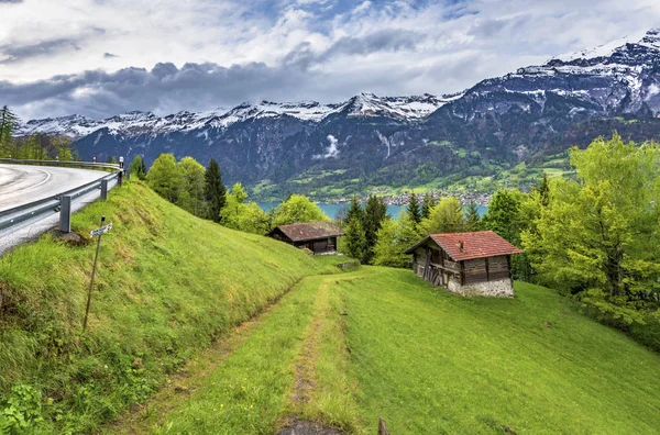 Casas Las Laderas Alpinas Cerca Del Lago Brienz Suiza —  Fotos de Stock