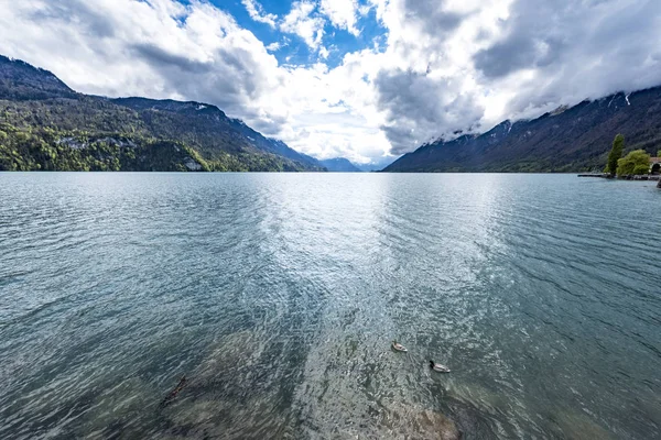 Zicht Het Meer Van Brienz Voor Zonsondergang Zwitserland — Stockfoto