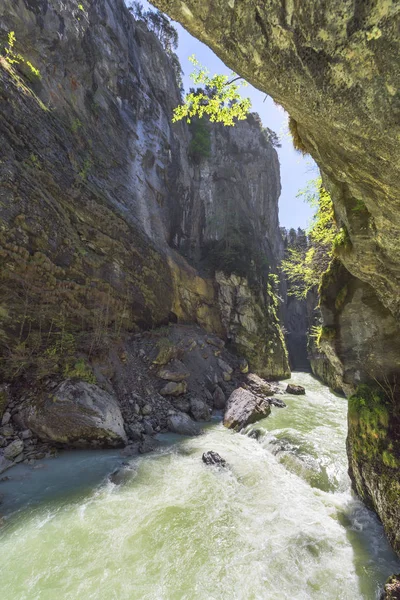 Vue Dans Gorge Aare Suisse — Photo
