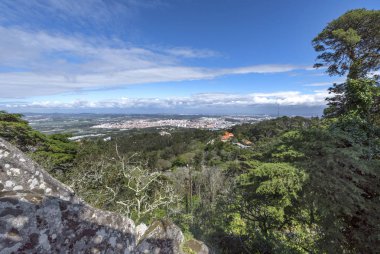 Güneşli bir gün Portekiz kırsal görünüm
