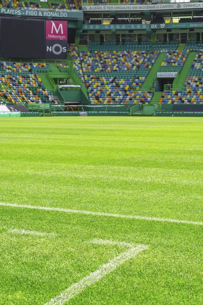 Lizbona Portugalia Kwiecień 2018 Zwiedzanie Arena Jose Alvalado Oficjalny Plac — Zdjęcie stockowe