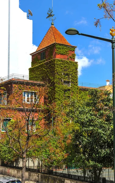 Huis Met Kruipende Planten Straten Van Stad Lissabon Portugal — Stockfoto