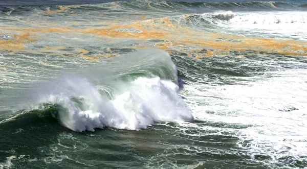 Κύματα Του Ατλαντικού Ωκεανού Nazare Πορτογαλία — Φωτογραφία Αρχείου