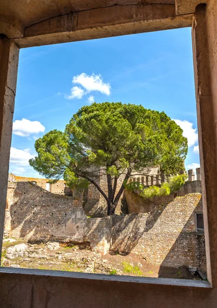 Árbol Vista Marco Convento Cristo — Foto de Stock