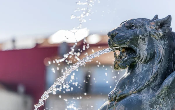 Úlomek Fontány Ulicích Města Porto — Stock fotografie