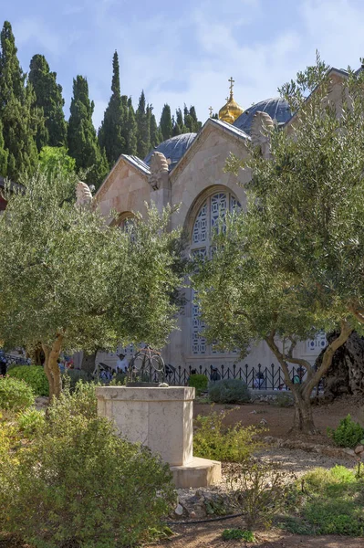 Vue Sur Église Toutes Les Nations Jérusalem — Photo