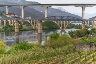 Portekiz kırsalında manzara