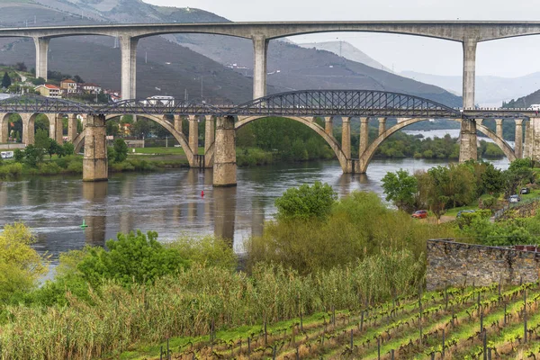 Portekiz kırsalında manzara