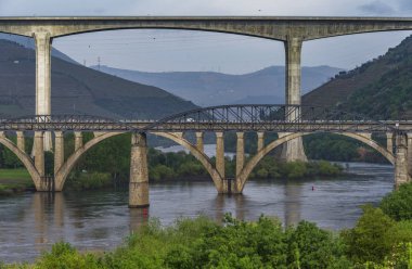 Douro Nehri Vadisi 'ndeki köprüler, Portekiz