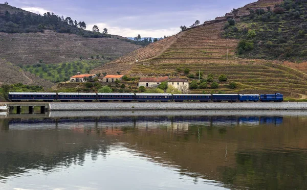 Viñedos Valle Del Río Duero Primavera —  Fotos de Stock