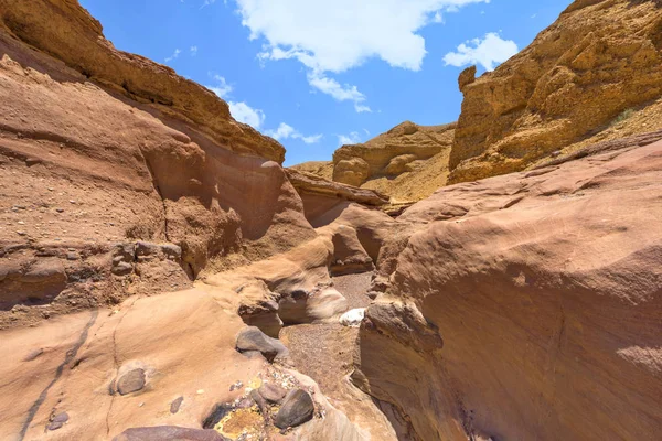 Vue Dans Désert Néguev Israël — Photo