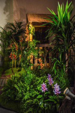 Girona Çiçek Festivali 