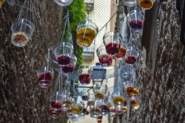 Girona Çiçek Festivali 