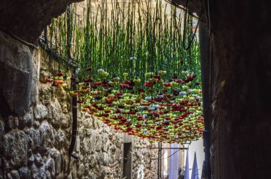 Girona Çiçek Festivali 