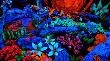 Girona Çiçek Festivali 