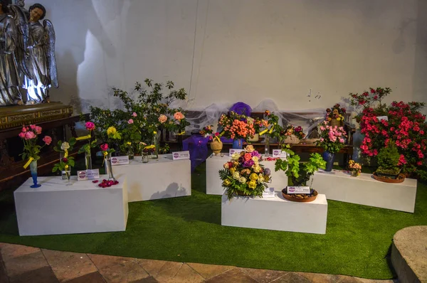 Festival Las Flores Girona Temps Flors España 2018 — Foto de Stock