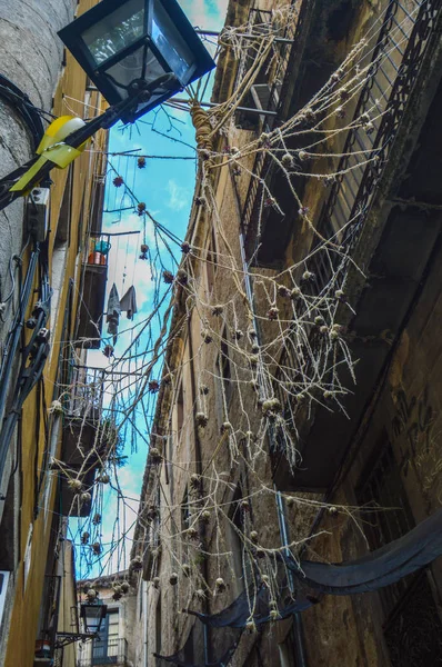 Girona Çiçek Festivali Temps Flors Spanya 2018 — Stok fotoğraf