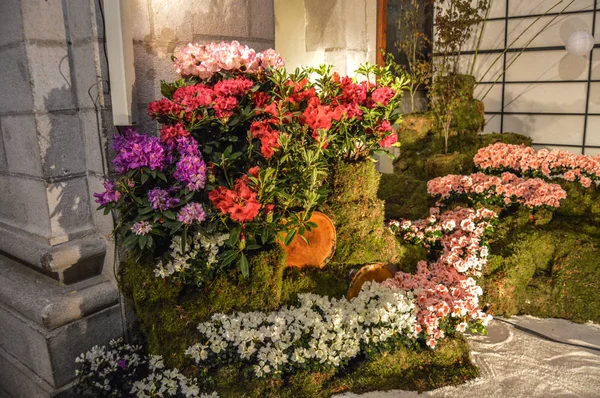 Festival Las Flores Girona Temps Flors España 2018 —  Fotos de Stock
