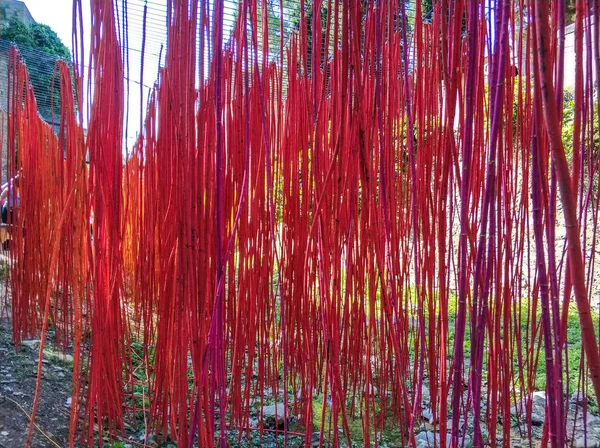 Blumenfest Girona Temps Flors Spanien 2018 — Stockfoto