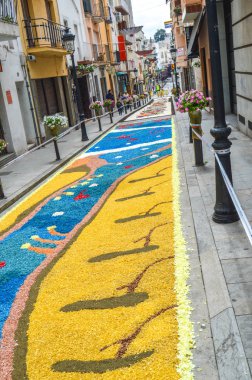 Corpus Christi, Blanes festivalinde Çiçek halı