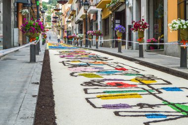 Corpus Christi, Blanes festivalinde Çiçek halı