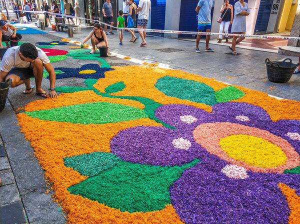 Flowers carpet at the festival of Corpus Christi, Blanes