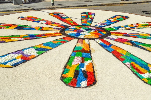 Flowers Carpet Festival Corpus Christi Blanes — Stock Photo, Image