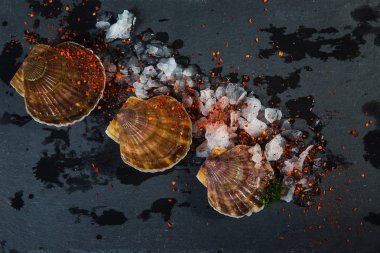 Uzak Doğulu canlı deniz tarakları buzda