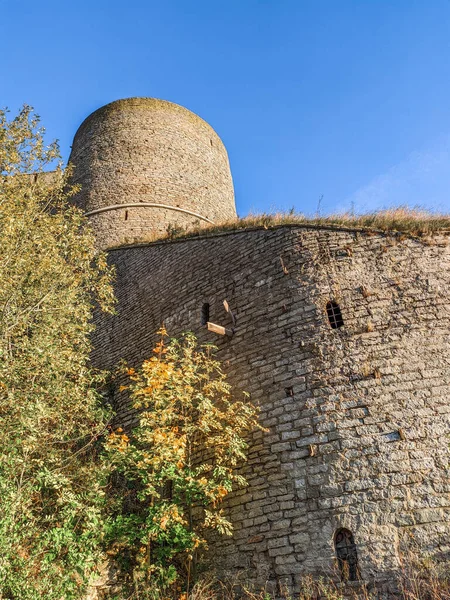 Pevnost Ivangorod Středověký Hrad Ivangorodu Leningradská Oblast Rusko Nachází Řece — Stock fotografie