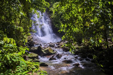 Ormandaki Ton Chong SK khao lak Phangnga Güney Tayland içinde tropik şelale