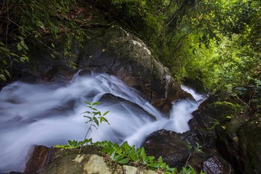 Ormandaki Ton Chong SK khao lak Phangnga Güney Tayland içinde tropik şelale