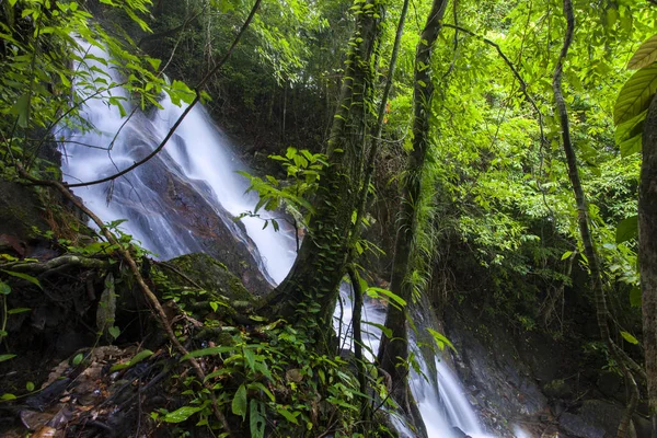 Tropical waterfall in the forest,Ton Chong Fa in khao lak Phangnga South of Thailand