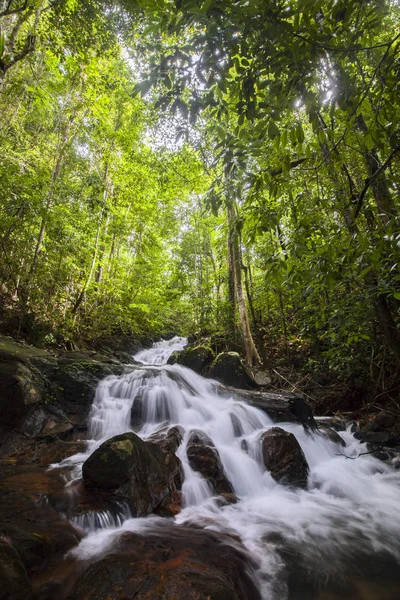 Тропічний Водоспад Лісі Тонна Чонг Khao Lak Phangnga Півдні Таїланду — стокове фото