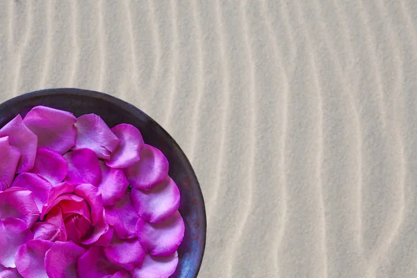 Weiße Und Rosa Rosenblätter Auf Sandigem Hintergrund Natürliche Blumen Einer — Stockfoto