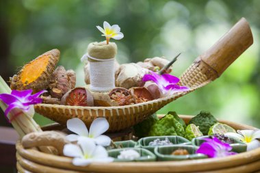 Tay bitki çiçek ve meyve kaplıcada, tedavi veya masaj ot bergamot ve zencefil ile bitkisel spa topları kullanın. Otlar arka plan şifa doğal ilaç.