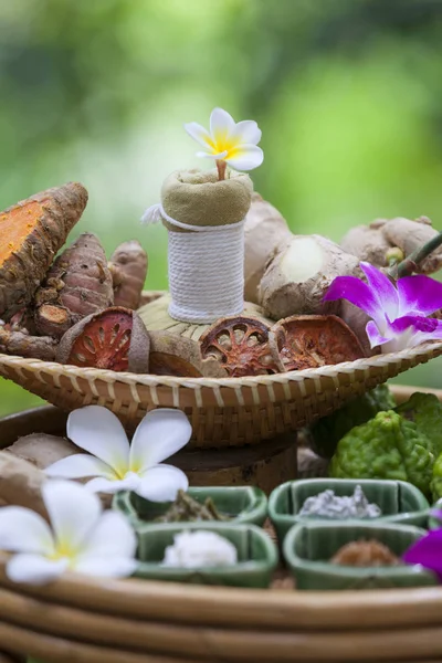 Thailändische Kräuterblume Und Früchte Verwendung Wellnessbereich Kräuterbällchen Zur Behandlung Oder — Stockfoto
