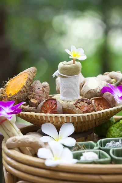 Thailändische Kräuterblume Und Früchte Verwendung Wellnessbereich Kräuterbällchen Zur Behandlung Oder — Stockfoto