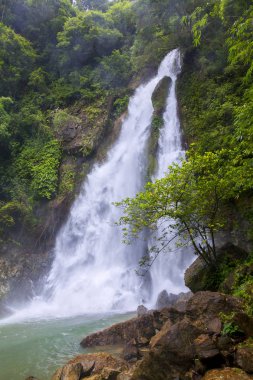Tam nang şelale orman tropik bölge Milli Parkı Takua Pa Phang Nga Tayland